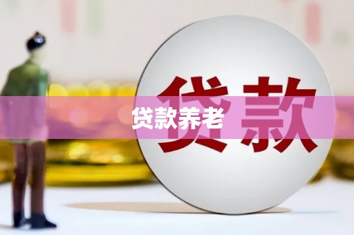 大溪贷款养老