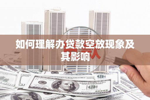 舒城如何理解办贷款空放现象及其影响